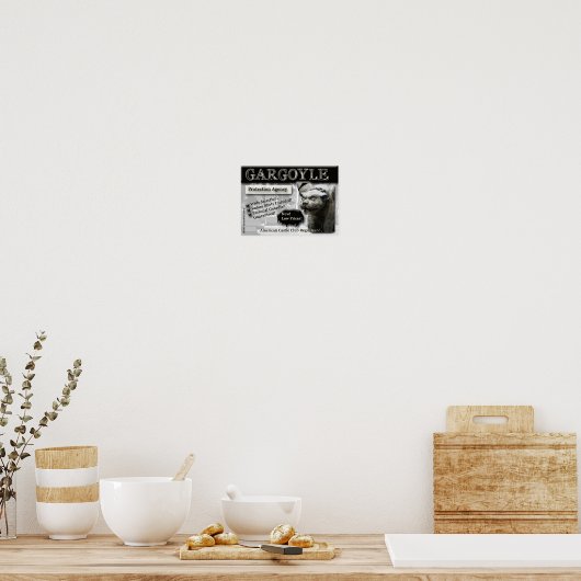 Gargoyle Protection Agency Canvas Print (Keuken)