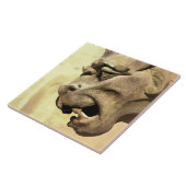 GARGOYLE TEGELTJE (Zijkant)