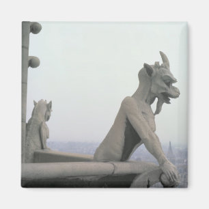 Gargoyle uit de balustrade van de Grande Magneet