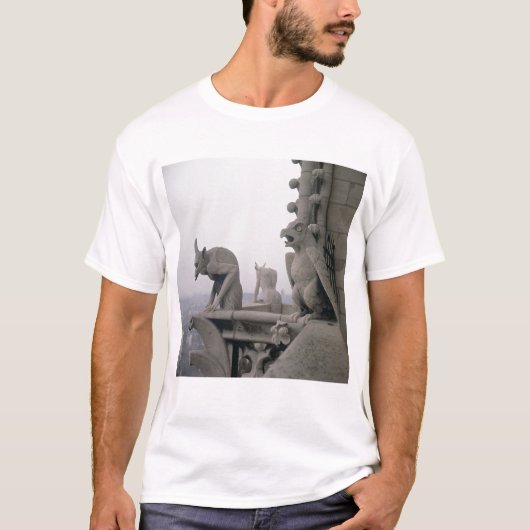 Gargoyles op de balustrade van de Grande T-shirt (Voorkant)