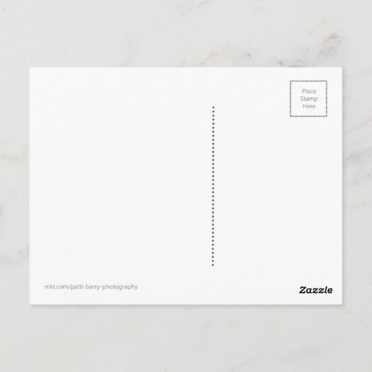 Garibaldi, OU Carte postale (Dos)