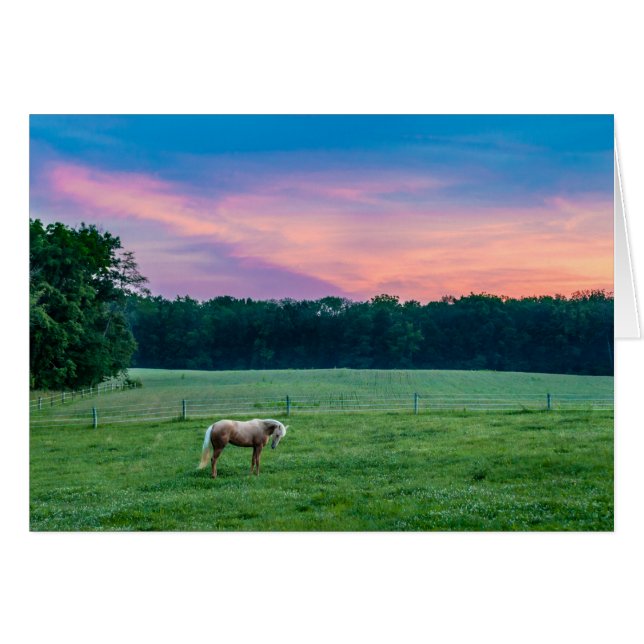 Garmin met Sunset (Voorkant Horizontaal)