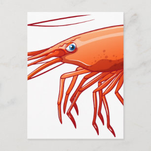Garnaal Briefkaart