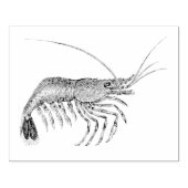 garnaal geïllustreerd Rubberkunststempel Rubberstempel (Afrduk)