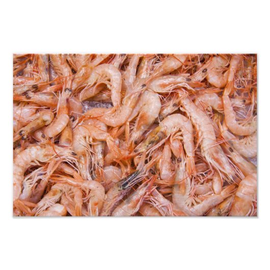 Garnalen Foto Afdruk (Voorkant)