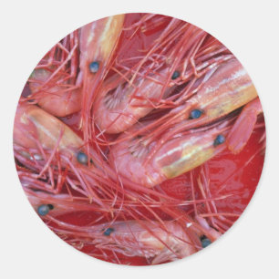 Garnalen van British Columbia, Canada textuur Ronde Sticker