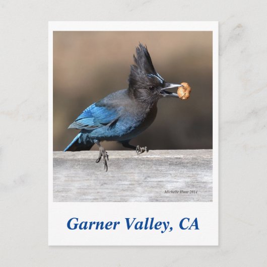 Garner Valley Briefkaart (Voorkant)