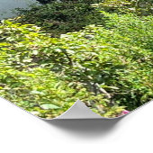 Gartan Mountain County Donegal Ierland Europa Poster (Hoek)