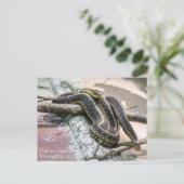 Garter Snake Briefkaart (Staand voorkant)