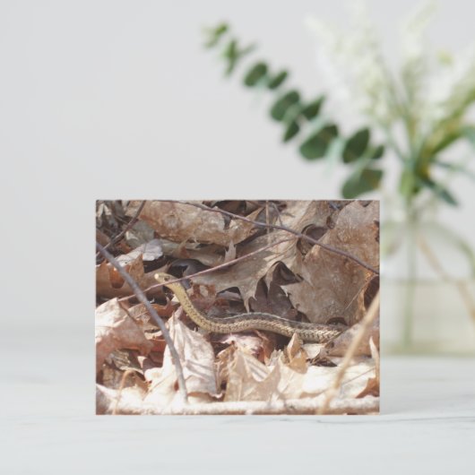 Garter Snake Briefkaart (Staand voorkant)