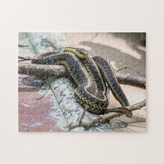 Garter Snake Legpuzzel (Horizontaal)