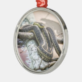 Garter Snake Metalen Ornament (Links)