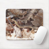 Garter Snake Muismat (Met muis)