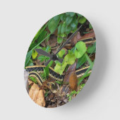 Garter Snake Wildlife Wall klok (Hoek)