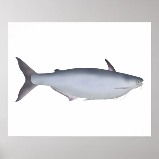 Garua Bachcha Poster (Voorkant)