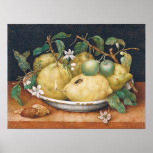 Garzoni - Stilleven met schaal citroenen Poster