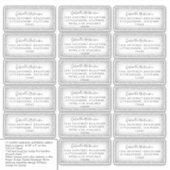 Gast Mailing Adresetiketten Modern Silver Glitter Sticker (Voorkant)