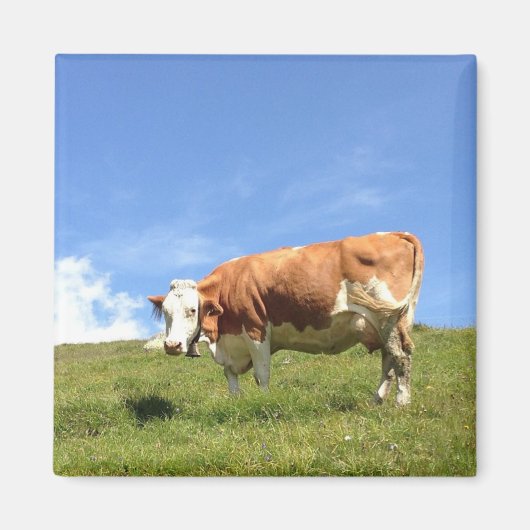 Gästehaus Fernerblick - Kuhmagnet Magneet (Voorkant)