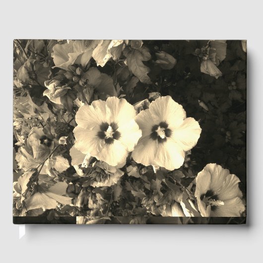 Gastenboek (Voorkant)