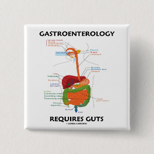 Gastro-enterologie vereist darmen (spijsverterings vierkante button 5,1 cm
