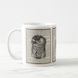 Gastro-intestinale anatomische Mok Medische Gift