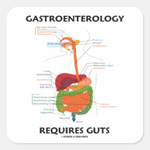 Gastroenterology Requires Guts (Digestive System) Vierkante Sticker