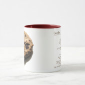 Gâteau aux pépites de chocolat dans une tasse (Centre)