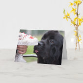 Gâteau d'anniversaire et carte de chien (Fleur jaune)