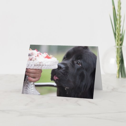 Gâteau d'anniversaire et carte de chien (Devant)