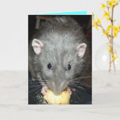 gâteau de mangeur de rat dumbo Carte d'anniversair (Fleur jaune)