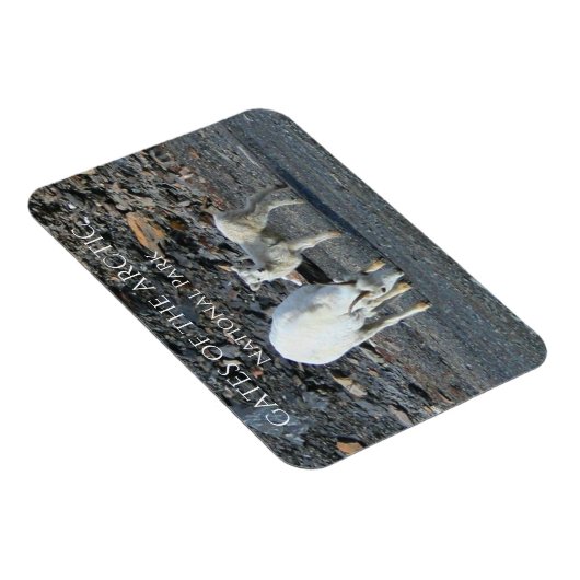 Gates of the Arctic National Park-magneet Magneet (Rechterzijde)