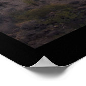 Gates Pass Poster (Hoek)