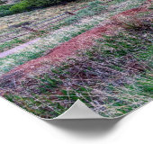 Gateway Rocks Garden Of The Gods Poster (Coin)