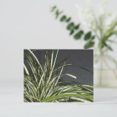 Gatha Briefkaart (Staand voorkant)