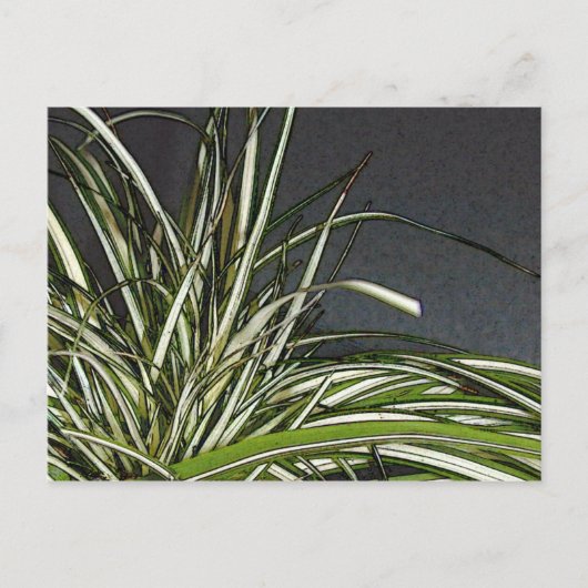 Gatha Briefkaart (Voorkant)