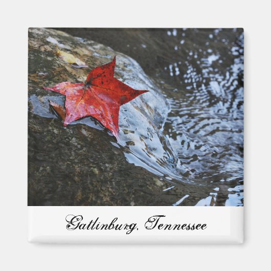 Gatlinburg Leaf Magnet (Devant)