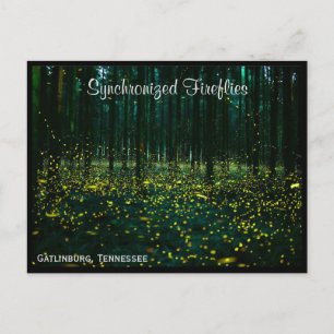 Gatlinburg Tennessee Briefkaart TN