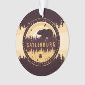 Gatlinburg Tennessee Ours Pins Nature (devant)