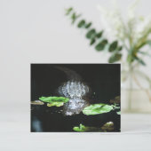 Gator Briefkaart (Staand voorkant)