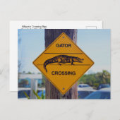 Gator Crossing Sign., Foto van Florida Briefkaart (Voorkant / Achterkant)