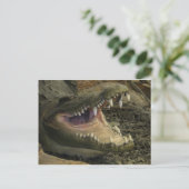 Gator Head Briefkaart (Staand voorkant)