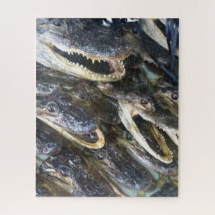 Gator Head Jigsaw Puzzle