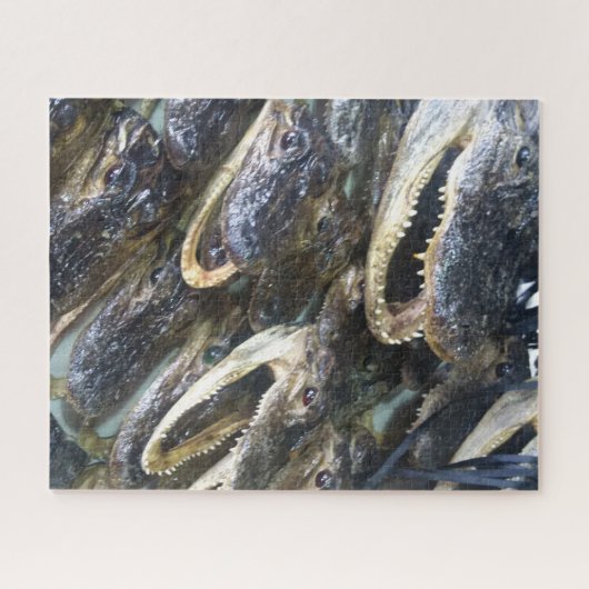 Gator Head Jigsaw Puzzle (Horizontal)