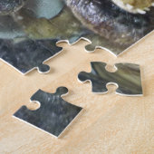 Gator Head Jigsaw Puzzle (Côté)