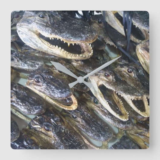 Gator Head-klok Vierkante Klok (Voorkant)