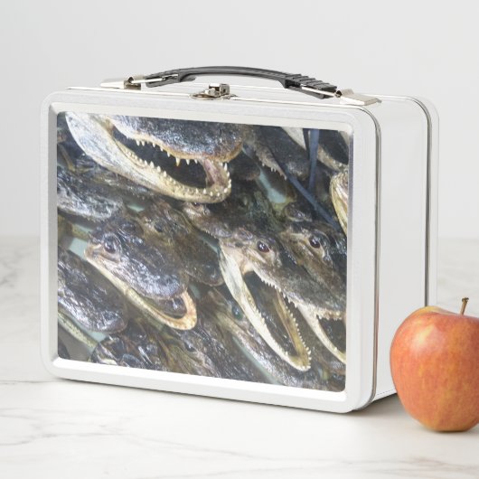 Gator Head lunchbox (In situ)