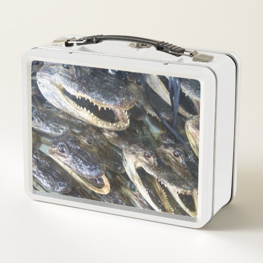 Gator Head lunchbox (Achterkant)