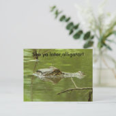 Gator in water dicht briefkaart (Staand voorkant)