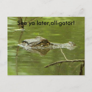 Gator in water dicht briefkaart