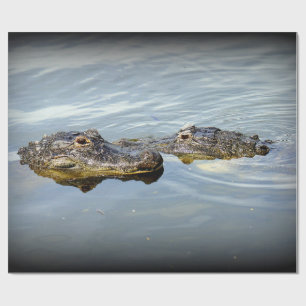 Gator Love Cadeaupapier